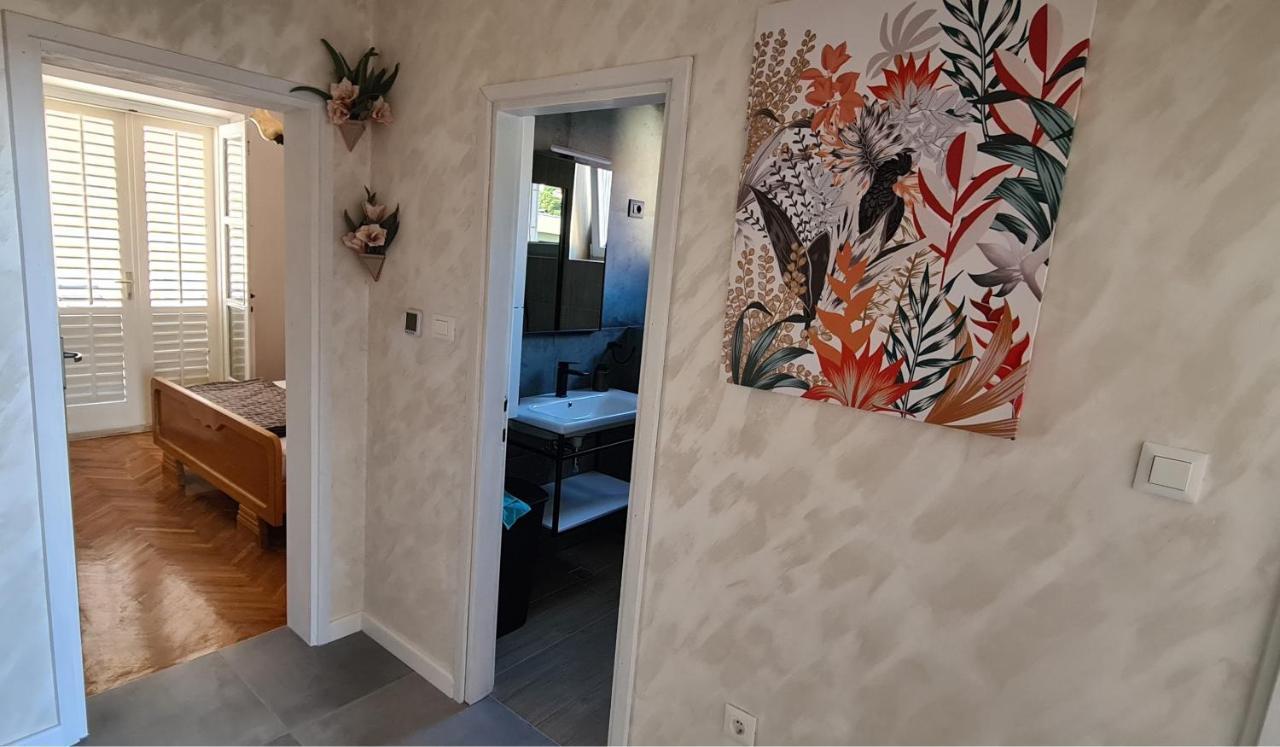 Apartment Solvit دوبروفينك المظهر الخارجي الصورة